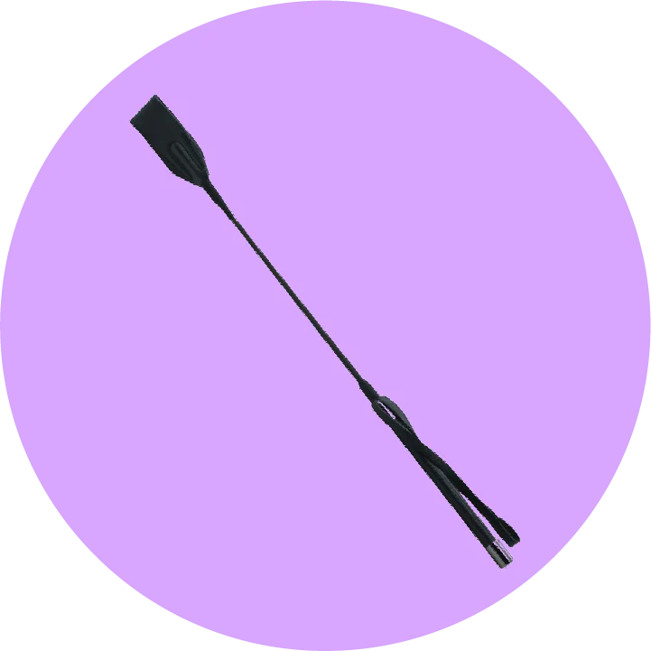 Frustino e Paddle BDSM