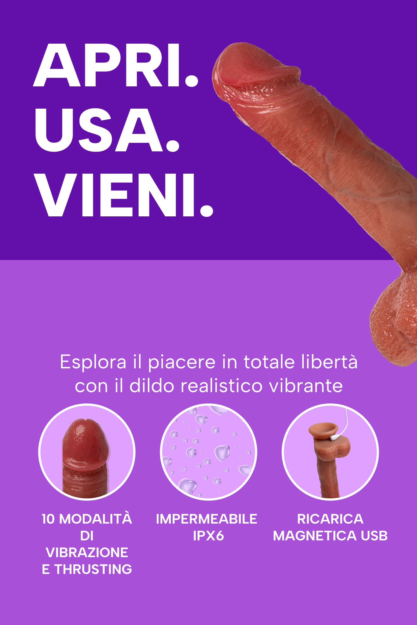mysecretcase-dildo-realistico-vibrante-filiberto-info.jpg