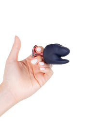 Luca Pezzolo - Pinze Capezzoli MySecretCase