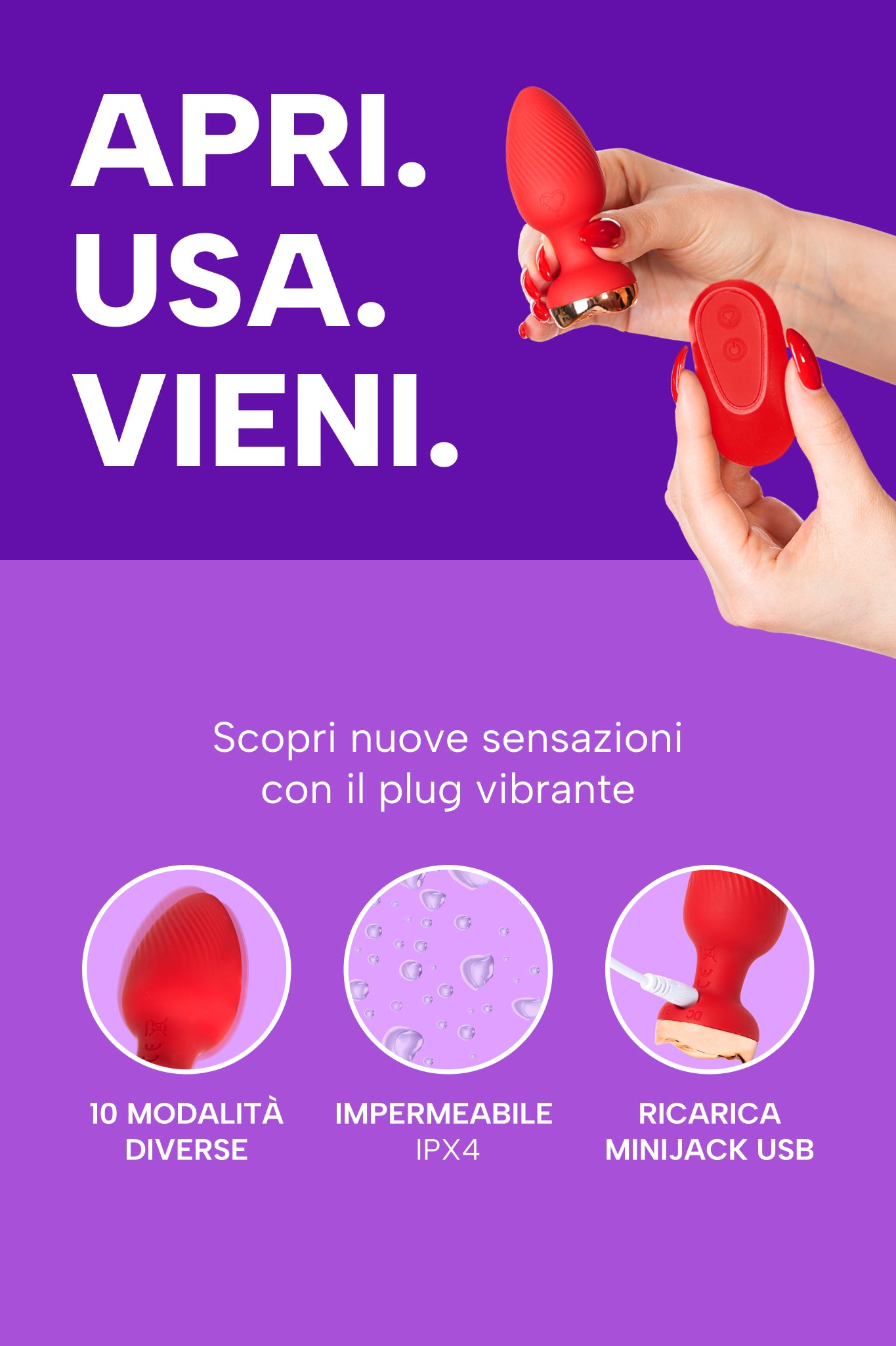mysecretcase-plug-anale-vibrante-rubino-info.jpg