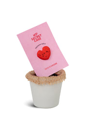 Semi d'Amore - Giochi erotici MySecretCase