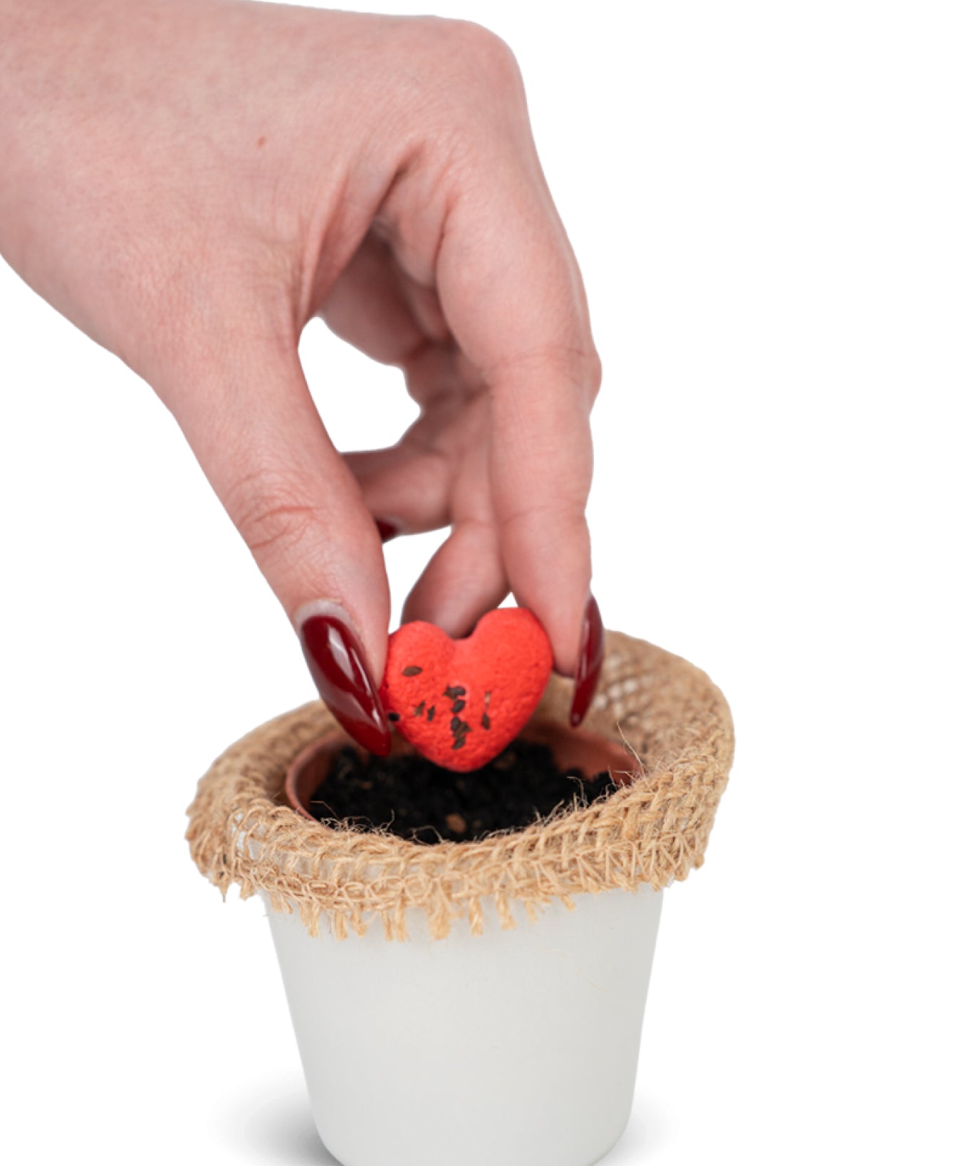 Semi d'Amore - Giochi erotici MySecretCase