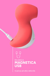 Secret Flamingo (4)
