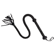 Wild Tamer - Frustini e Paddle MySecretCase