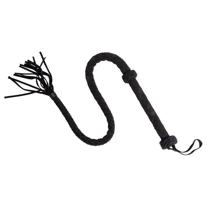 Wild Tamer - Frustini e Paddle MySecretCase