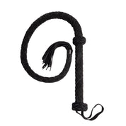 Wild Tamer - Frustini e Paddle MySecretCase