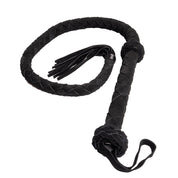 Wild Tamer - Frustini e Paddle MySecretCase